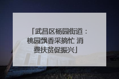 武昌区杨园街道：桃园飘香采摘忙 消费扶贫促振兴