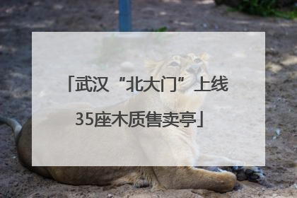 武汉“北大门”上线35座木质售卖亭