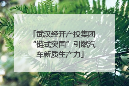 武汉经开产投集团“链式突围”引燃汽车新质生产力
