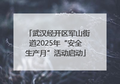 武汉经开区军山街道2025年“安全生产月”活动启动