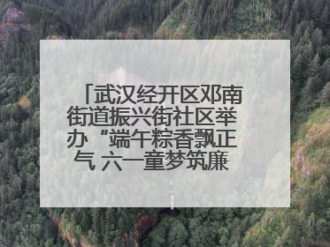 武汉经开区邓南街道振兴街社区举办“端午粽香飘正气 六一童梦筑廉心” 主题活动