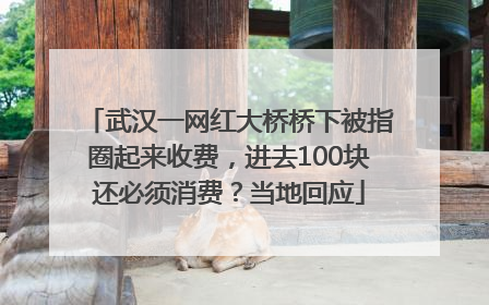 武汉一网红大桥桥下被指圈起来收费，进去100块还必须消费？当地回应