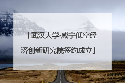 武汉大学·咸宁低空经济创新研究院签约成立