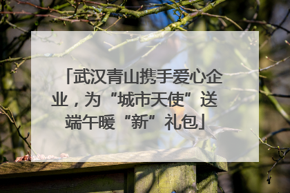 武汉青山携手爱心企业，为“城市天使”送端午暖“新”礼包