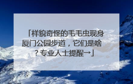 样貌奇怪的毛毛虫现身厦门公园步道，它们是啥？专业人士提醒→