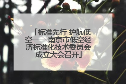 标准先行 护航低空——南京市低空经济标准化技术委员会成立大会召开
