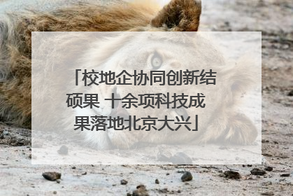 校地企协同创新结硕果 十余项科技成果落地北京大兴