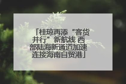 桂琼再添“客货并行”新航线 西部陆海新通道加速连接海南自贸港