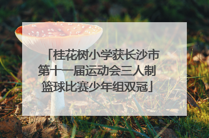 桂花树小学获长沙市第十一届运动会三人制篮球比赛少年组双冠