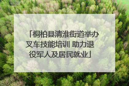 桐柏县清淮街道举办叉车技能培训 助力退役军人及居民就业