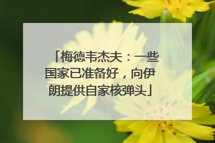 梅德韦杰夫：一些国家已准备好，向伊朗提供自家核弹头