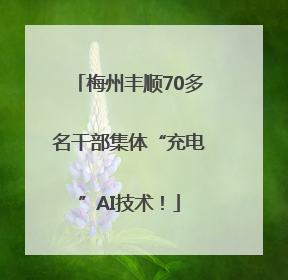 梅州丰顺70多名干部集体“充电”AI技术！