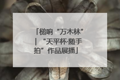 槌响“万木林”｜“天平杯·随手拍”作品展播