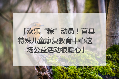 欢乐“粽”动员!莒县特殊儿童康复教育中心这场公益活动很暖心