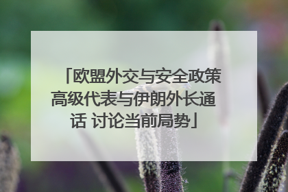 欧盟外交与安全政策高级代表与伊朗外长通话 讨论当前局势