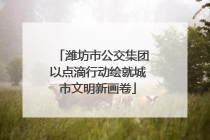潍坊市公交集团以点滴行动绘就城市文明新画卷