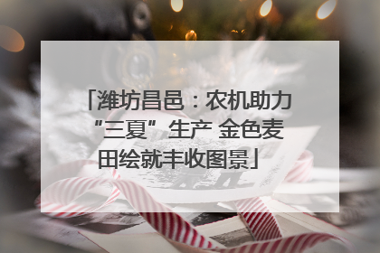 潍坊昌邑：农机助力“三夏”生产 金色麦田绘就丰收图景