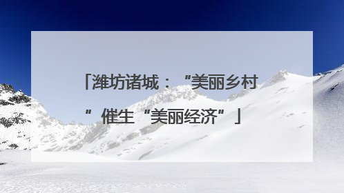 潍坊诸城：“美丽乡村”催生“美丽经济”