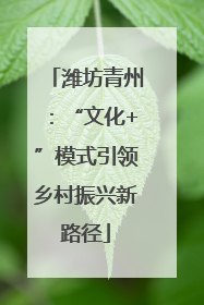潍坊青州：“文化+”模式引领乡村振兴新路径
