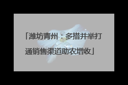 潍坊青州：多措并举打通销售渠道助农增收