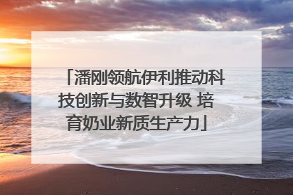 潘刚领航伊利推动科技创新与数智升级 培育奶业新质生产力