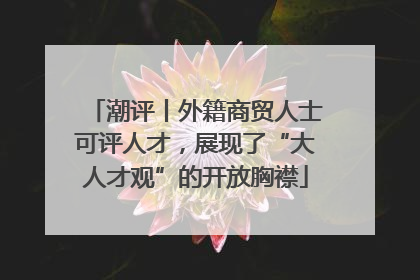 潮评丨外籍商贸人士可评人才，展现了“大人才观”的开放胸襟