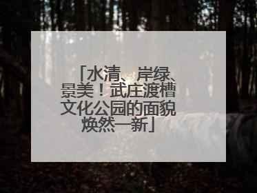 水清、岸绿、景美！武庄渡槽文化公园的面貌焕然一新