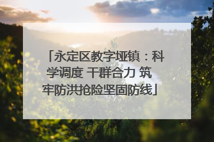 永定区教字垭镇：科学调度 干群合力 筑牢防洪抢险坚固防线