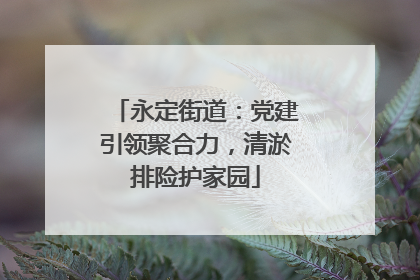 永定街道：党建引领聚合力，清淤排险护家园