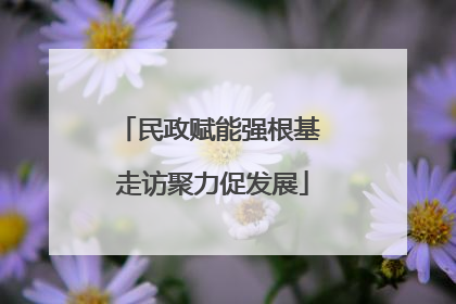 民政赋能强根基 走访聚力促发展