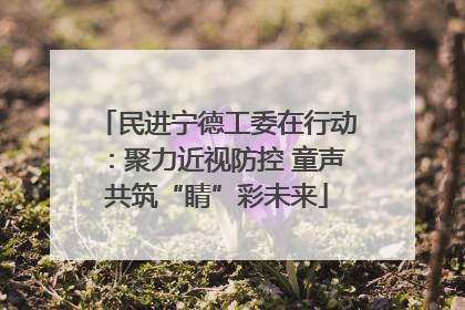 民进宁德工委在行动：聚力近视防控 童声共筑“睛”彩未来
