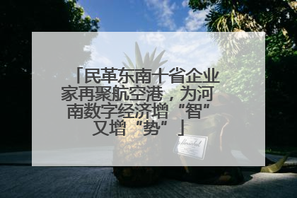 民革东南十省企业家再聚航空港，为河南数字经济增“智”又增“势”