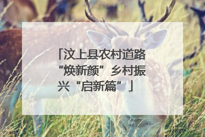 汶上县农村道路“焕新颜”乡村振兴“启新篇”