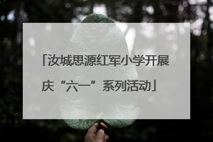 汝城思源红军小学开展庆“六一”系列活动