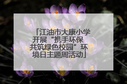 江油市大康小学开展“携手环保 共筑绿色校园”环境日主题周活动