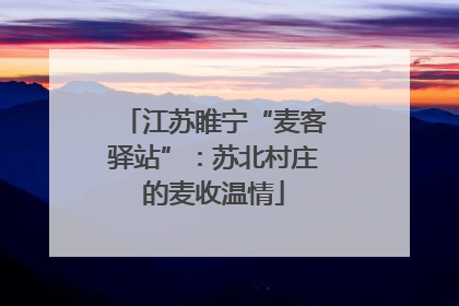 江苏睢宁“麦客驿站”：苏北村庄的麦收温情