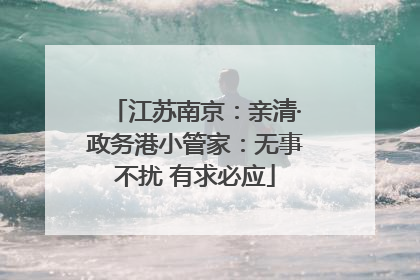 江苏南京：亲清·政务港小管家：无事不扰 有求必应