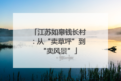江苏如皋钱长村：从“卖草坪”到“卖风景”