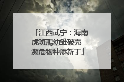 江西武宁：海南虎斑鳽幼雏破壳 濒危物种添新丁