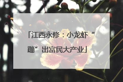 江西永修：小龙虾“蹦”出富民大产业
