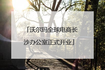 沃尔玛全球电商长沙办公室正式开业