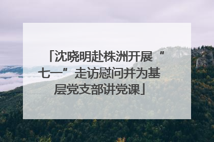 沈晓明赴株洲开展“七一”走访慰问并为基层党支部讲党课