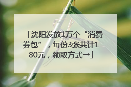 沈阳发放1万个“消费券包”，每份3张共计180元，领取方式→