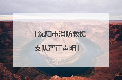 沈阳市消防救援支队严正声明