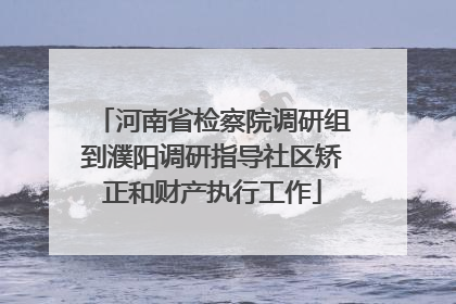 河南省检察院调研组到濮阳调研指导社区矫正和财产执行工作