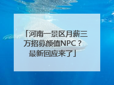 河南一景区月薪三万招募颜值NPC？最新回应来了