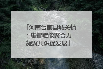 河南台前县城关镇：集智赋能聚合力 凝聚共识促发展