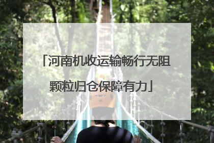 河南机收运输畅行无阻 颗粒归仓保障有力