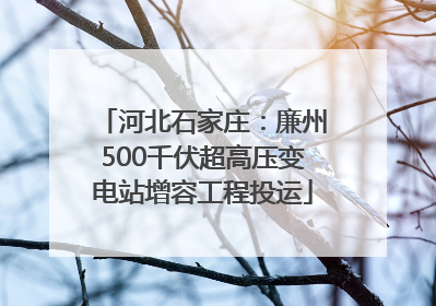 河北石家庄：廉州500千伏超高压变电站增容工程投运