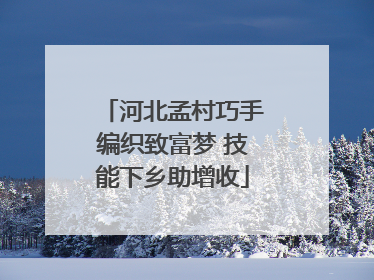 河北孟村巧手编织致富梦 技能下乡助增收